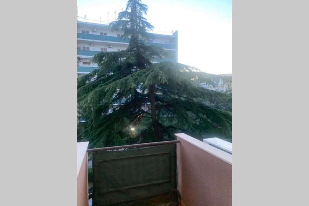 Residenza Giovanni Paolo Secondo- Casa Sull'Albero Bari Dış mekan fotoğraf