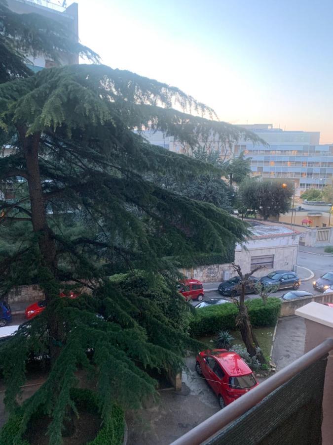 Residenza Giovanni Paolo Secondo- Casa Sull'Albero Bari Dış mekan fotoğraf